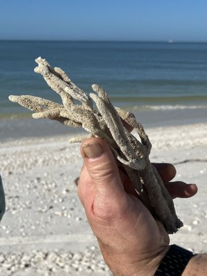 Rising Tide Explorers by null