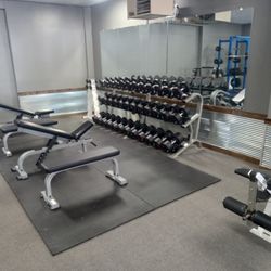Growth Fitness