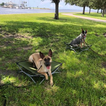 Steadfast Dog Training - Pet Training Near Me Steadfast Dog Training - Pet Training Near Me