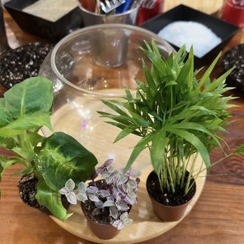 Plantlush - Nurseries & Gardening Near Me - San Jose, California Plantlush - Nurseries & Gardening Near Me - San Jose, California