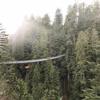 Loggers Grill - Capilano bridge - Burgers Near Me - North Vancouver, British Columbia