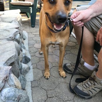 Fireside Lodge - Cako Approves! - Hotels Near Me - South Lake Tahoe, California Fireside Lodge - Cako Approves! - Hotels Near Me - South Lake Tahoe, California