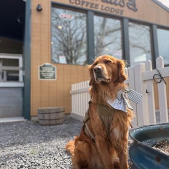 Catskills Coffee Lodge - Breakfast & Brunch Near Me - Roscoe, New York