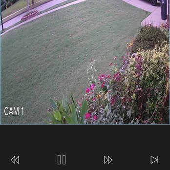 TruGreen Lawn Care - 10:55.04 - truck arrives - Tree Services Near Me - Suwanee, Georgia