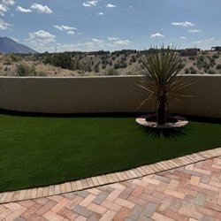 Purchase Green Artificial Grass - Albuquerque - Backyard