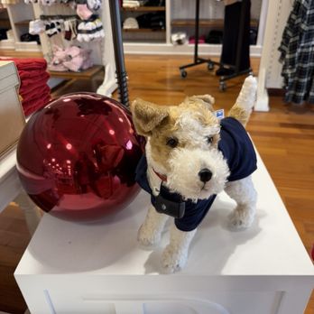 San Francisco Premium Outlets - Cute dog from Steiff ( German company) - Outlet Stores Near Me - Livermore, California San Francisco Premium Outlets - Cute dog from Steiff ( German company) - Outlet Stores Near Me - Livermore, California