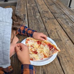 Local Roots Kombucha - $6 slice of cheese pizza