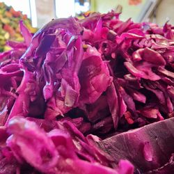 Mr pita - Red cabbage