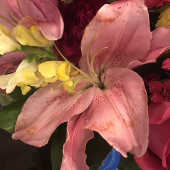 Pacific Floral And Event Designs - It arrived this way. - Florists Near Me - Pasadena, California Pacific Floral And Event Designs - It arrived this way. - Florists Near Me - Pasadena, California