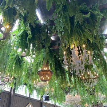 Mercado Negro - Lovely atmosphere - Tapas/Small Plates Near Me - Toronto, Ontario