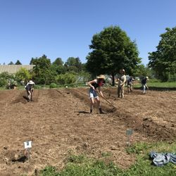 Learning Gardens Laboratory - LGL students and staff work to prepare new garden beds.