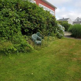 Chairs thrown in bushes Chairs thrown in bushes