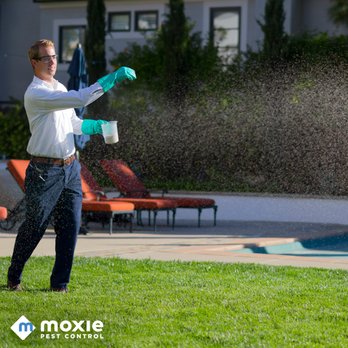 Moxie Pest Control - Denver - Pest Control Near Me - Sheridan, Colorado Moxie Pest Control - Denver - Pest Control Near Me - Sheridan, Colorado