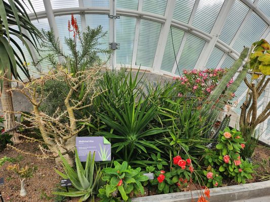 Myriad Botanical Gardens by null