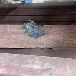 Lowe's Home Improvement - Filthy store