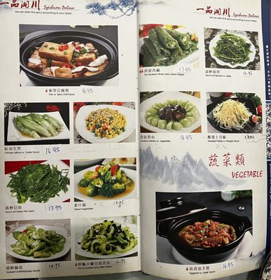 Menu photo 5 Szechuan House Flushing, NY