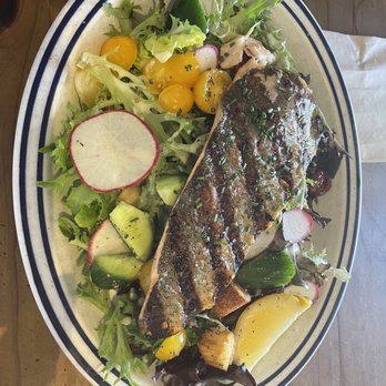 Fish - Trout and salad. Yummy vinaigrette!! - Seafood Near Me - Sausalito, California Fish - Trout and salad. Yummy vinaigrette!! - Seafood Near Me - Sausalito, California