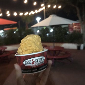 Bruster's Real Ice Cream - Ice Cream Cup with 2 scoops one pumpkin, one chocolate - Ice Cream & Frozen Yogurt Near Me - Jacksonville, Florida