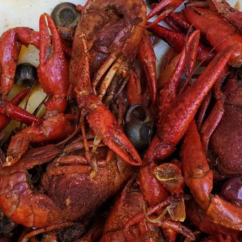 Austell Seafood Market - Snails in the crawfish. There is no way they cleaned these crawfish. - Seafood Markets Near Me - Marietta, Georgia