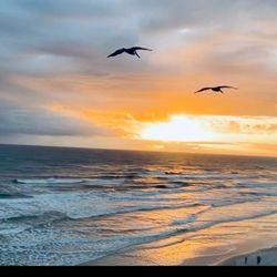 Ocean Walk Condominiums - Ocean beach