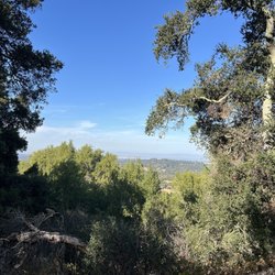 Coal Mine Ridge Nature Preserve - Views on way to top