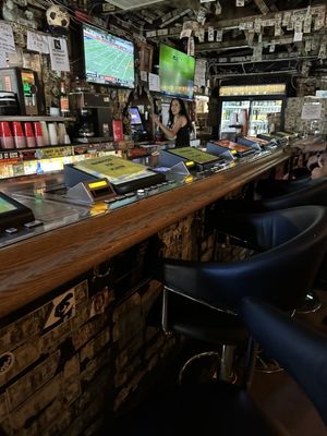 Mountain Springs Saloon by null