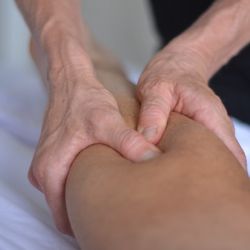 Meristem Massage Therapy