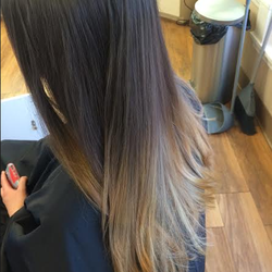 Hairzoo