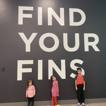 Swimhaus Swim School - Swimming Lessons/Schools Near Me - Gilbert, Arizona Swimhaus Swim School - Swimming Lessons/Schools Near Me - Gilbert, Arizona