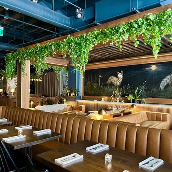 Wren & Wolf - Cocktail Bars Near Me - Phoenix, Arizona Wren & Wolf - Cocktail Bars Near Me - Phoenix, Arizona