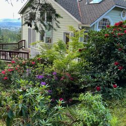 Amy Thompson - Hybrid Real Estate - Our wonderful Brookside Drive home & spectacular view!