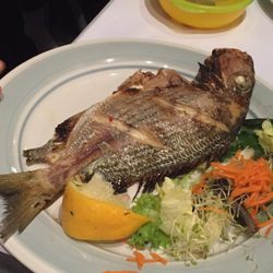 Pan Roma Restaurant - Grilled fish