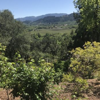 Rombauer Vineyards - Wineries Near Me - St. Helena, California