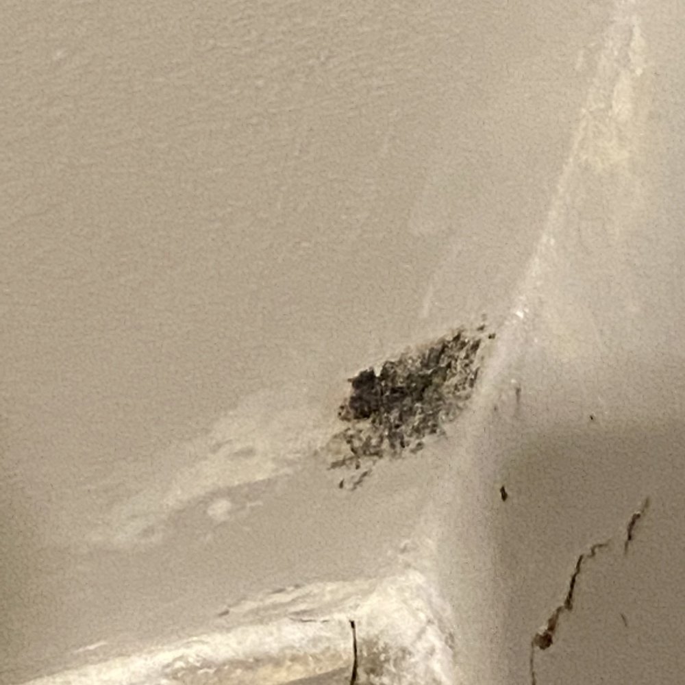 BEST WESTERN OCEAN BREEZE INN Updated September 2024 62 Photos & 38