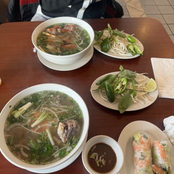 Pho Van - Oxtail and brisket pho with two fresh spring  rolls - Vietnamese Near Me - Charlotte, North Carolina