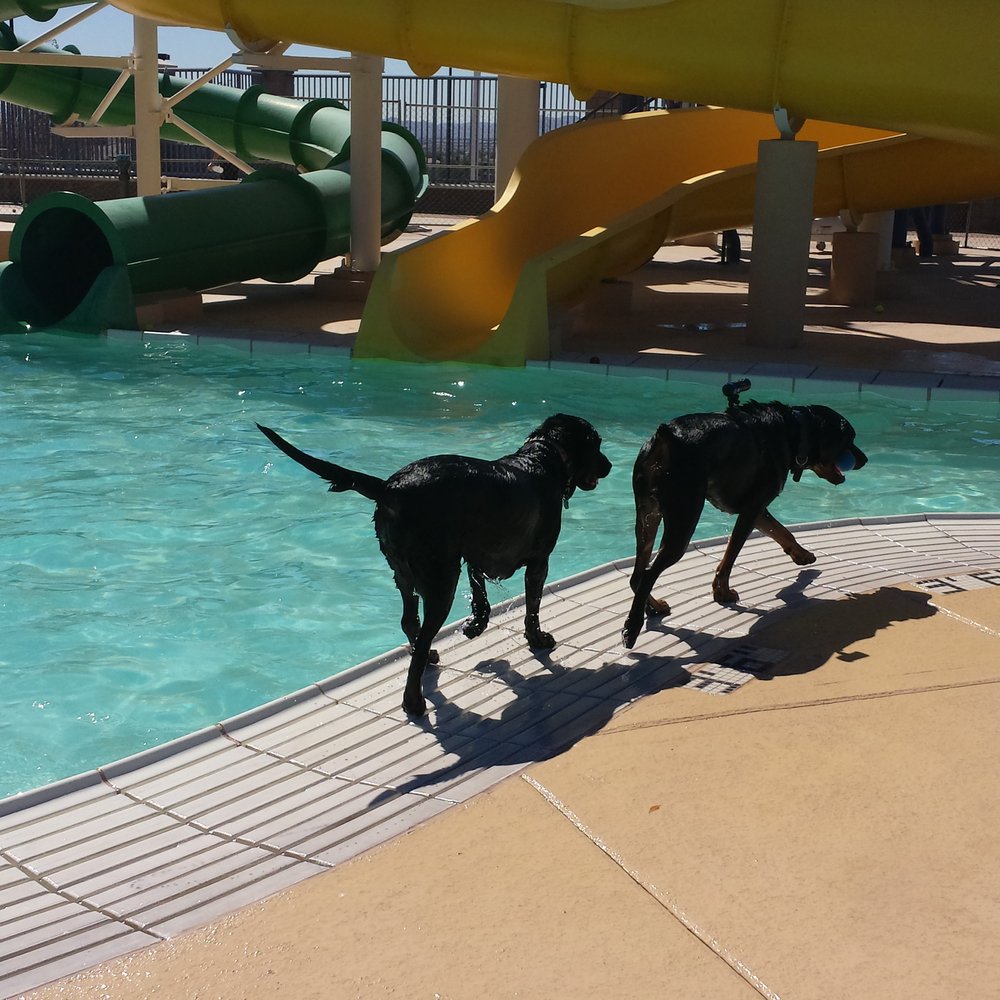 Desert Breeze Aquatic Facility - Swimming Pools Near Me - Las Vegas, Nevada