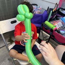 WOW Party Art - Houston - Face painting AND balloon animals
