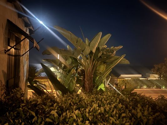 Casa Laguna Hotel & Spa by null Casa Laguna Hotel & Spa by null