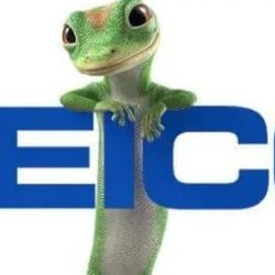 GEICO Insurance Agent