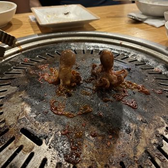 The Meat Bros - Korean BBQ - Spicy Baby Octopus - Korean Near Me - Fort Lee, New Jersey The Meat Bros - Korean BBQ - Spicy Baby Octopus - Korean Near Me - Fort Lee, New Jersey