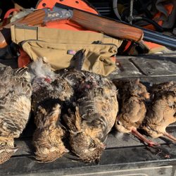 Hawkins Outfitters