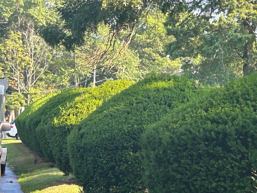 Slide of Arciles General Contracting