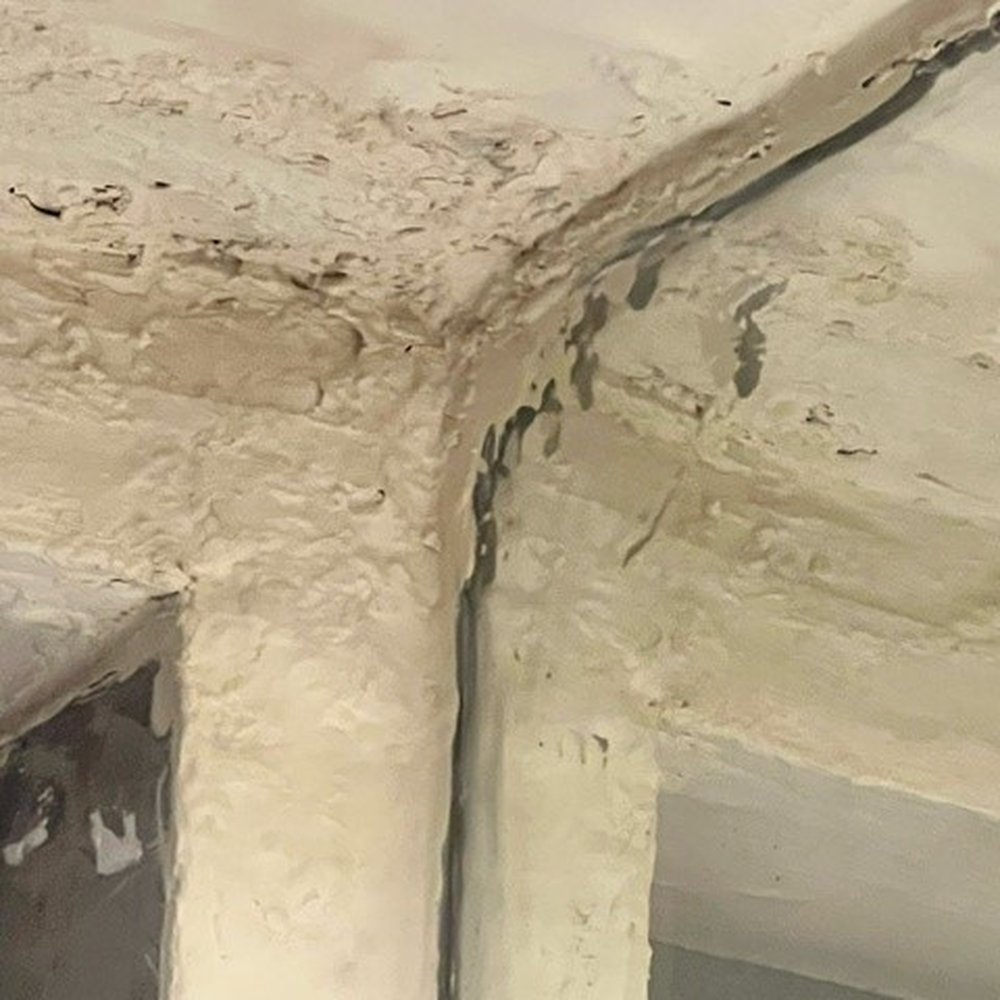 Grand Oasis Cancún - patched repair? can't figure out this creepy thing? - Hotels Near Me - Cancún, ROO