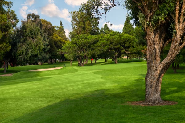 HEARTWELL GOLF COURSE Updated January 2025 118 Photos 205 Reviews