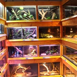 Unter Wasser Freiburg - Spezialist für Aquaristik & Terraristik