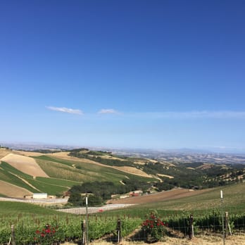 DAOU Vineyards - Wineries Near Me - Paso Robles, California