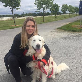 Biscuits Petcare - Dog Walkers Near Me Biscuits Petcare - Dog Walkers Near Me
