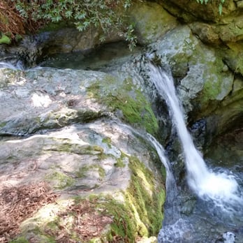 Matt Davis-Steep Ravine Loop - Hiking Near Me - Stinson Beach, California