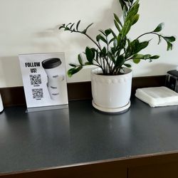 Napkins, etc. counter