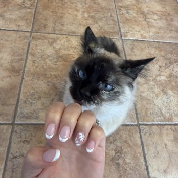Shape Nail Lounge - Nail Salons Near Me - Lakewood, California Shape Nail Lounge - Nail Salons Near Me - Lakewood, California
